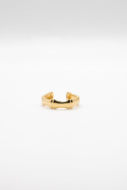 Anillo Bone